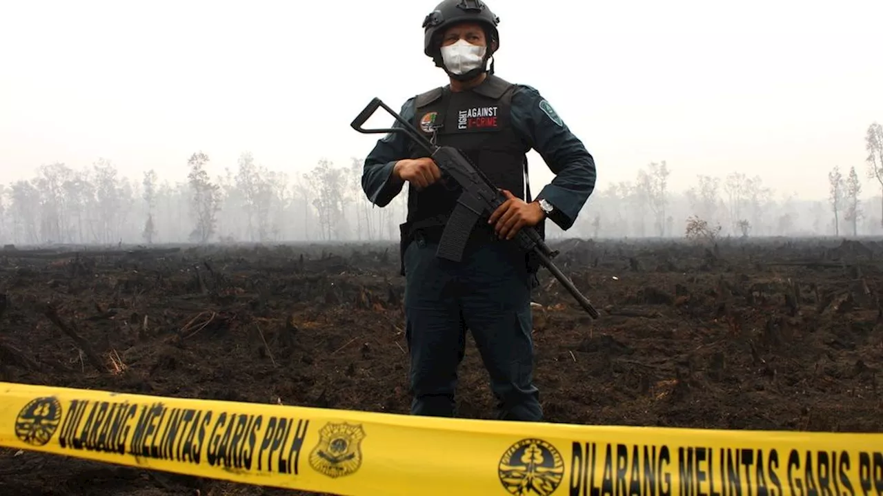 Widespread fires, KLHK Gakkum Seals Dozens of Palm Oil Plantations in Kalimantan