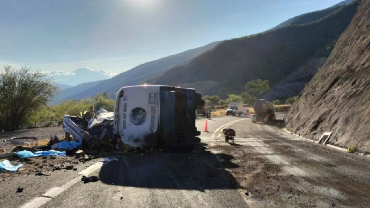 Mueren 17 migrantes tras volcadura de autobús en la autopista Oaxaca-Cuacnopalan