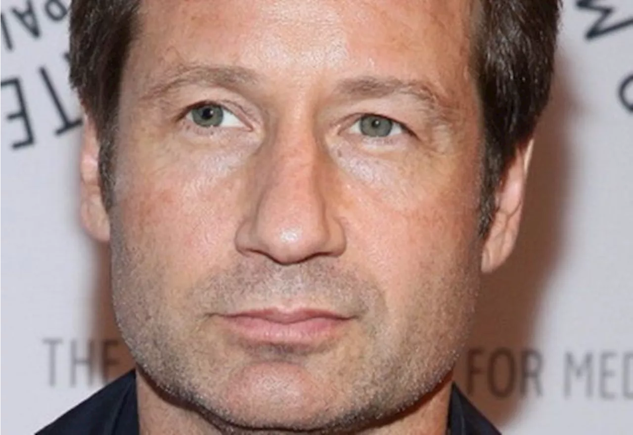 Her Man Of The Day... David Duchovny