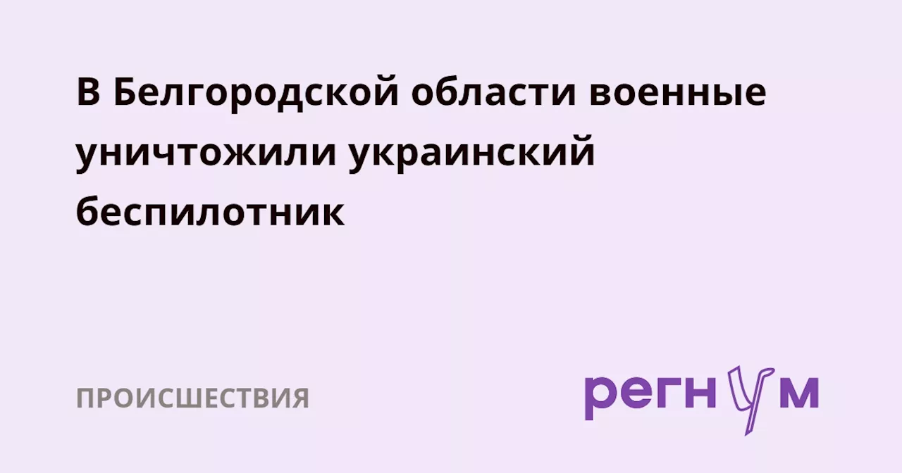 В Белгородской области военные уничтожили украинский беспилотник