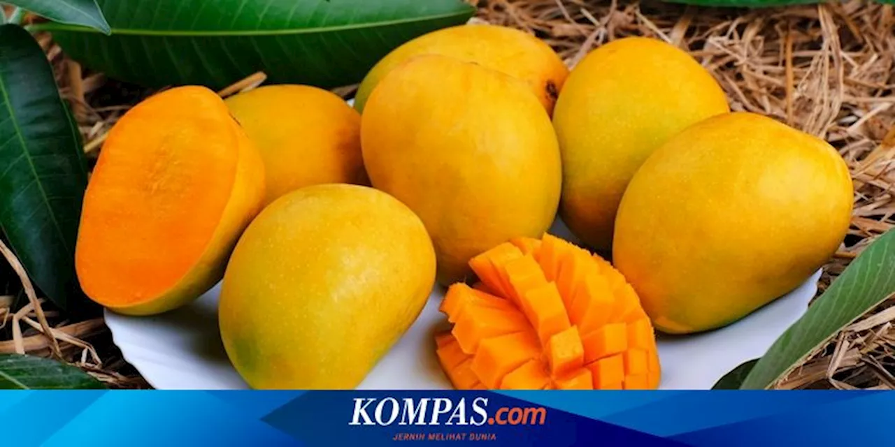 3 Efek Samping Mangga, Berapa Porsi Tepat untuk Tubuh?