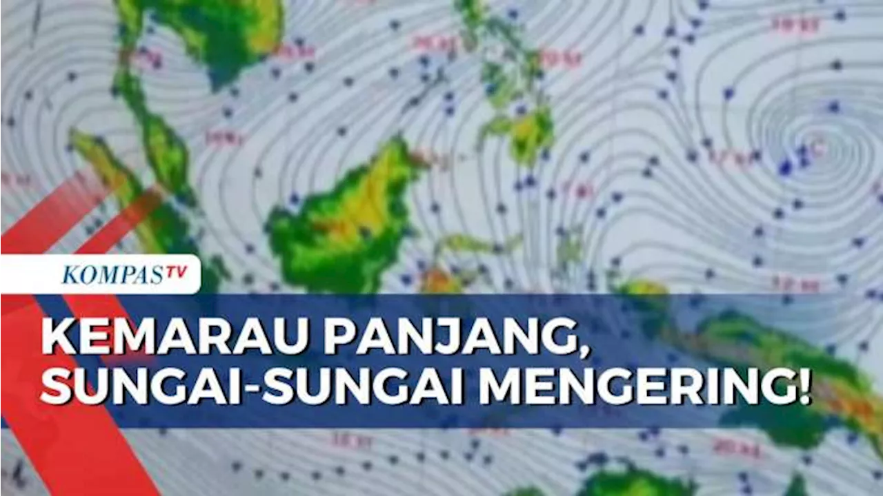 Kemarau Panjang Sebabkan Sungai-Sungai Kering di Sejumlah Daerah, Bagaimana Nasib Petani?