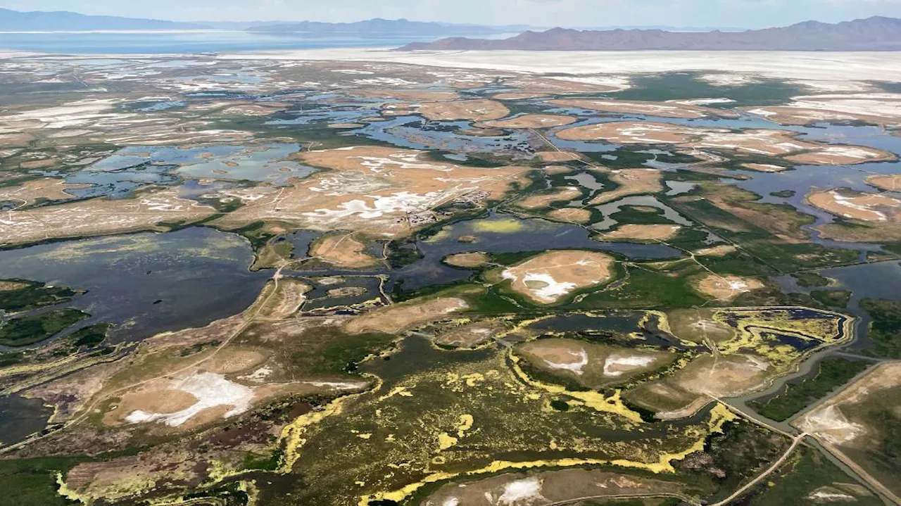 Some groups think the inland port's newly proposed wetlands policy doesn't do enough