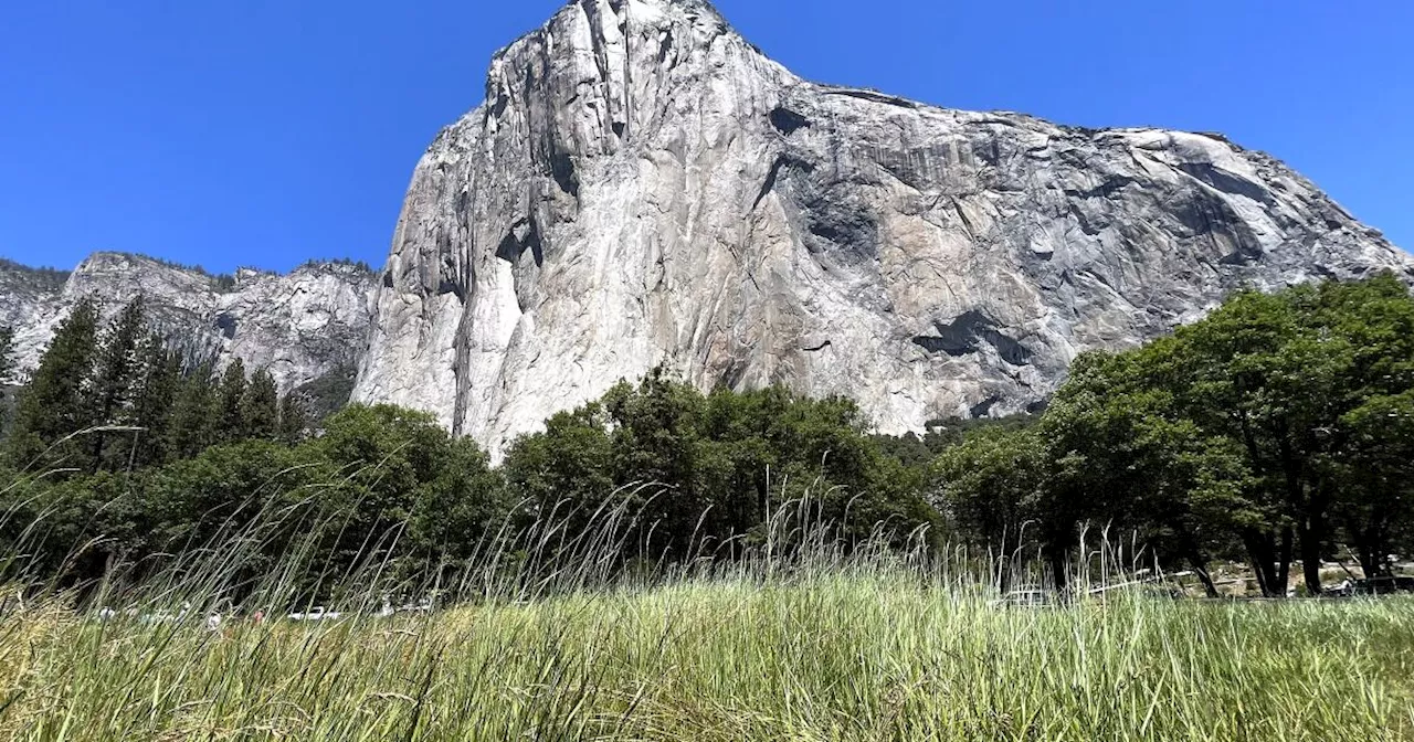 Climbing instructor falls to his death on Yosemite's El Capitan, according to report