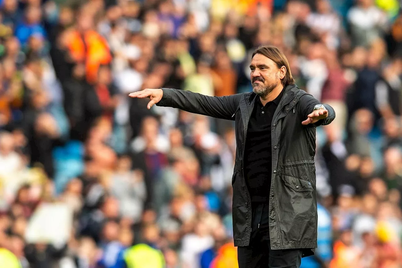 Daniel Farke's pre-Bristol City press conference highlights as Leeds United boss launches into lengthy Joel Piroe answer