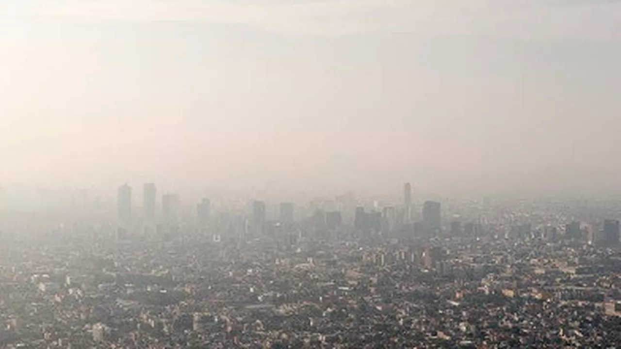 Malaysia Sebut Kabut Asap Seharusnya Tidak Jadi Hal Normal, Desak Indonesia Bertindak