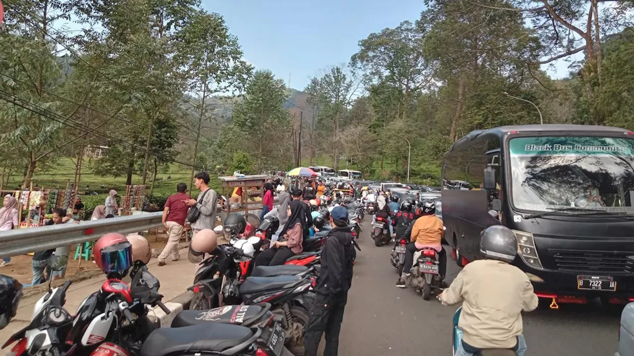 Ratusan Lapak PKL di Jalur Puncak Bogor Segera Dibongkar, Pedagang Diminta Pindah ke Rest Area