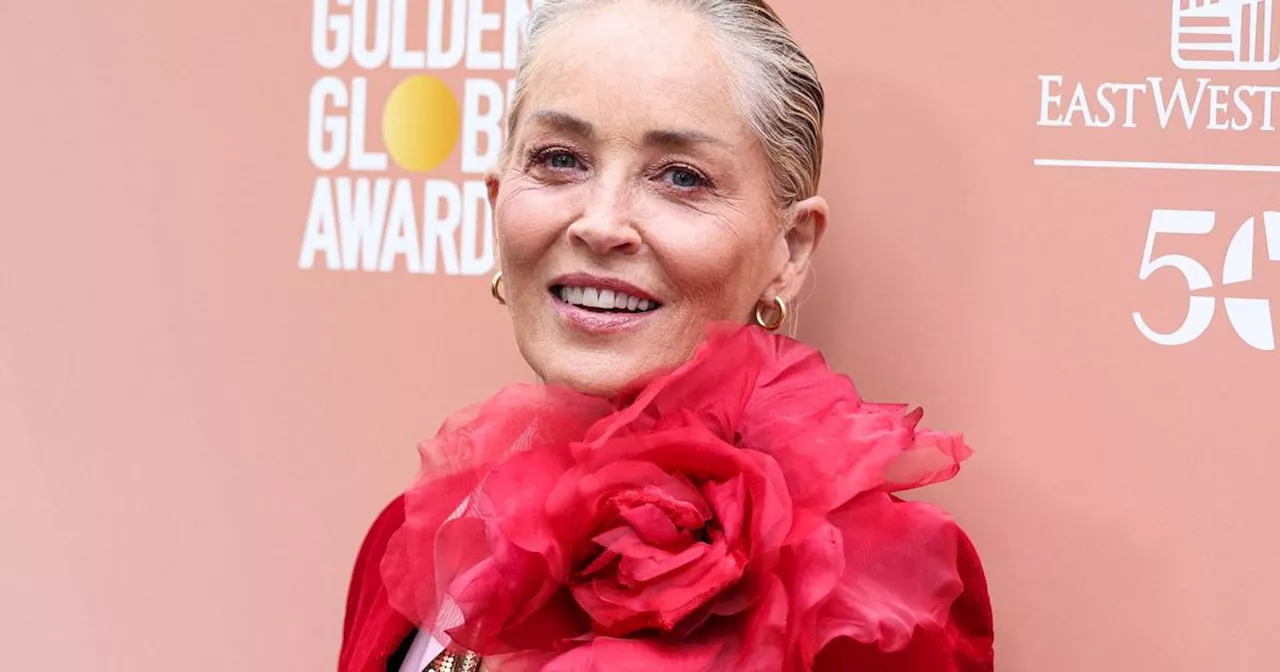 \u00abJe suis handicap\u00e9e\u00bb : victime d'un AVC en 2001, Sharon Stone s'exprime sur sa sant\u00e9