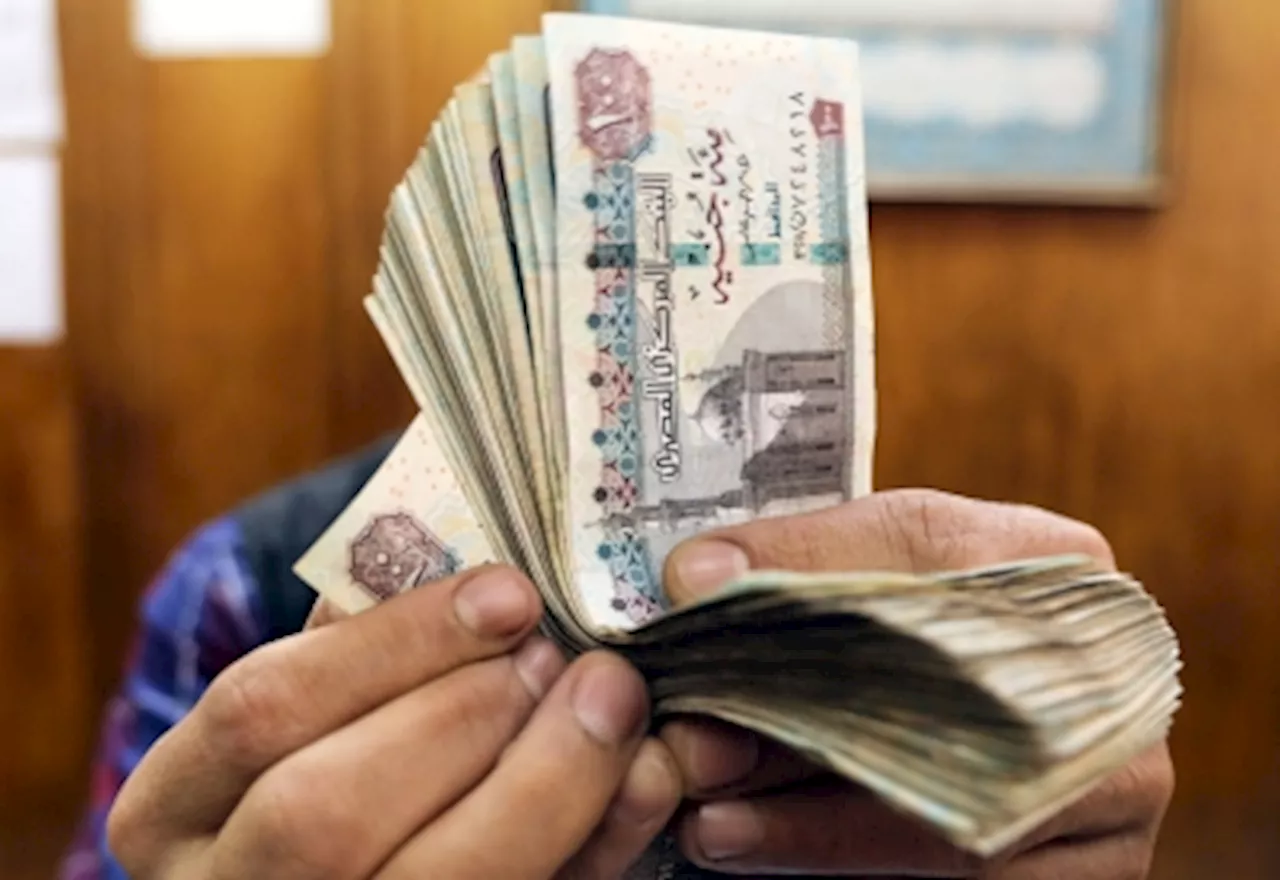 Egyptian banks suspend debit card use in foreign currency