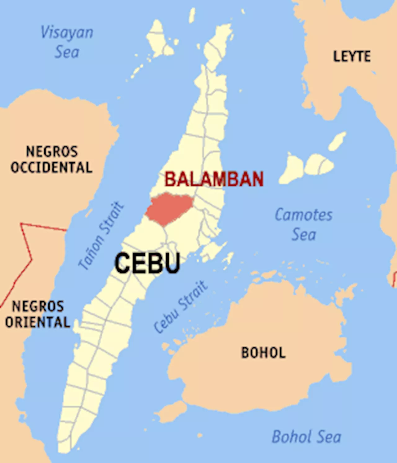 Village dad shot dead in Cebu