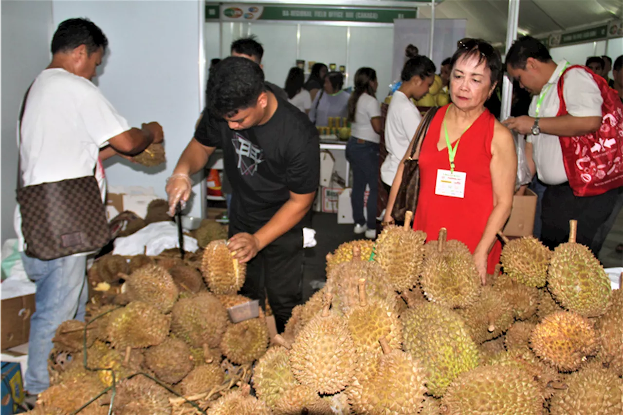 Durian bounty