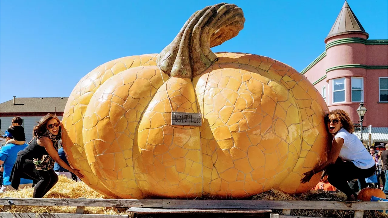 Half Moon Bay boasts our state's biggest pumpkins (and a famous pumpkin fest, too)