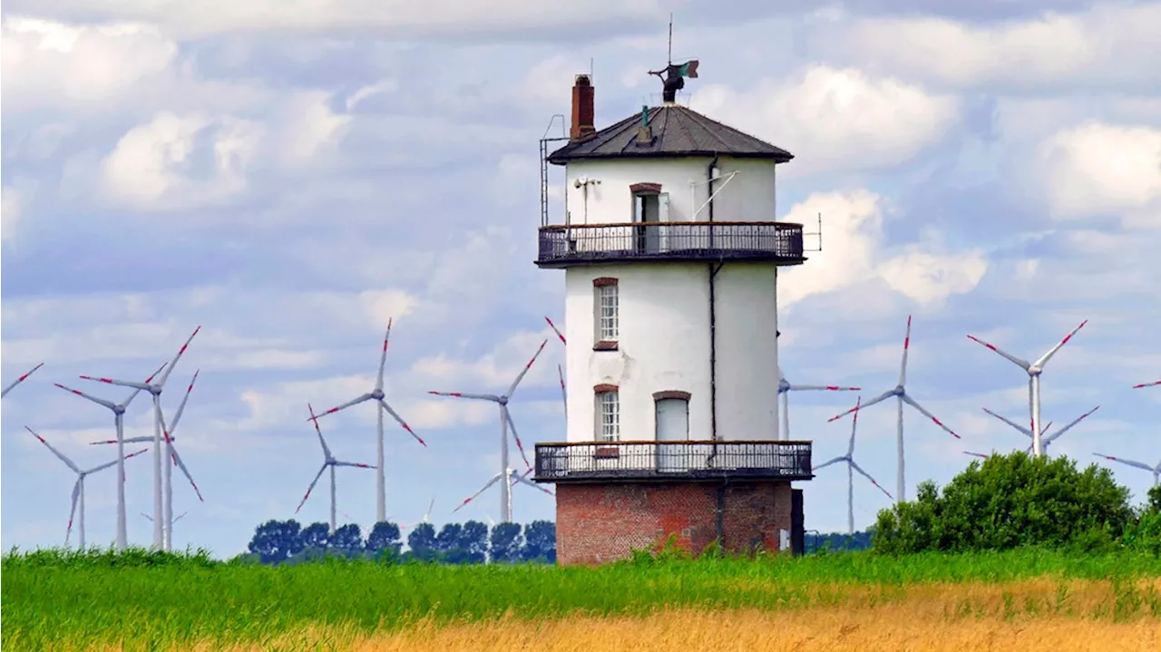 Kehdinger Land: Natureum Niederelbe und Wildvogel-Paradies