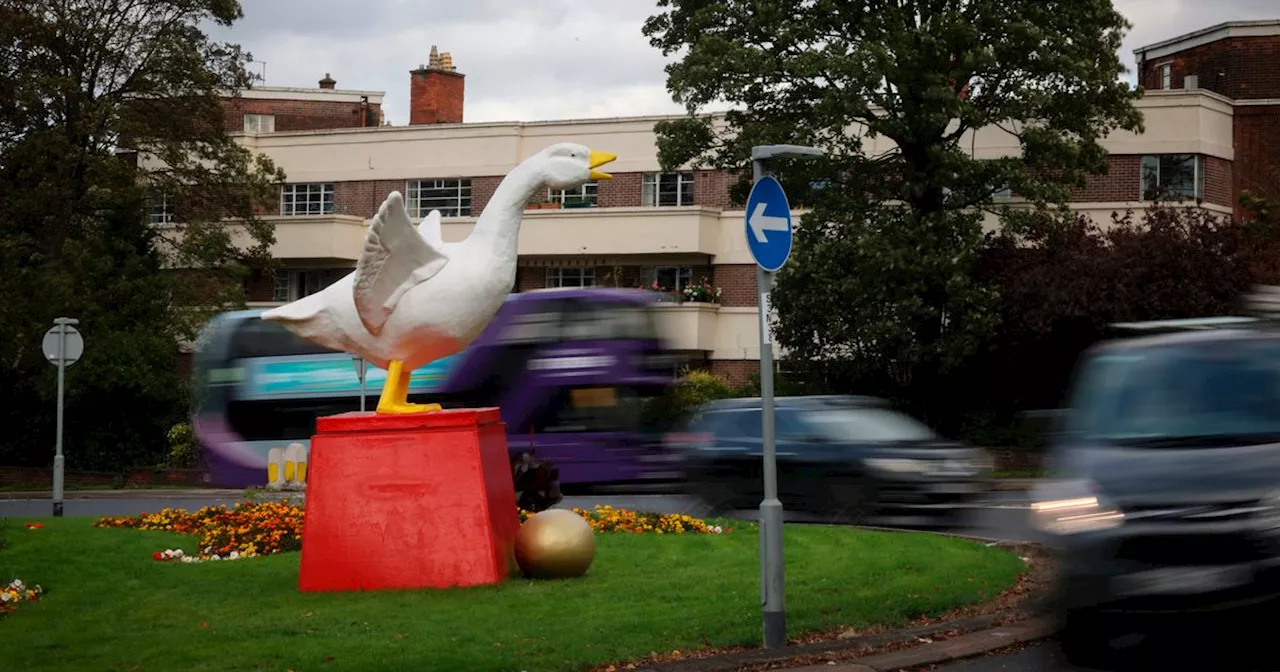 Heart-warming story behind Nottingham's Goosey golden egg mystery