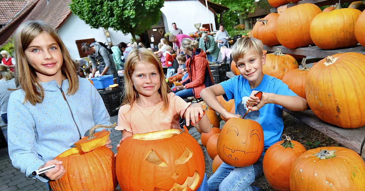 Kürbis schnitzen und ernten in Bielefeld: Hof Krüger wird zum Familienparadies