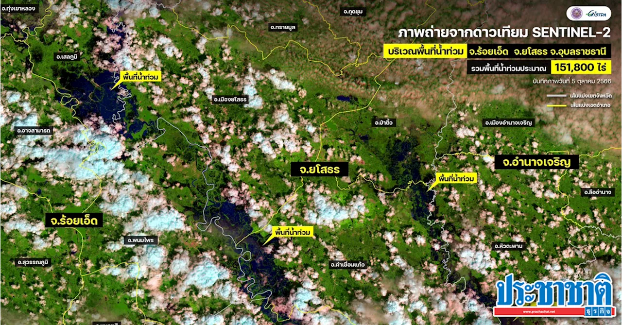 น้ำท่วม ร้อยเอ็ด ยโสธร- อุบลฯ อ่วมกว่า 150,000 ไร่