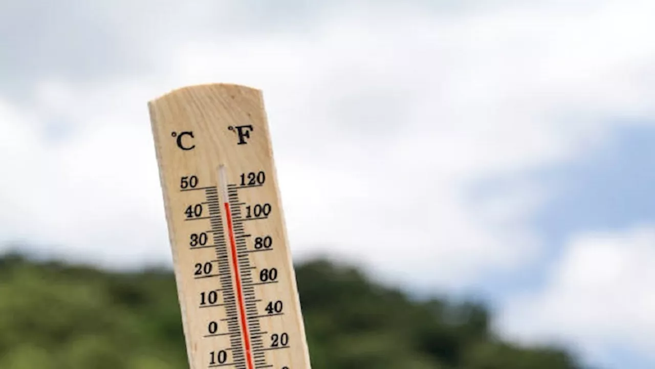 Heatwave warning issued for several parts of SA - SABC News - Breaking news, special reports, world,