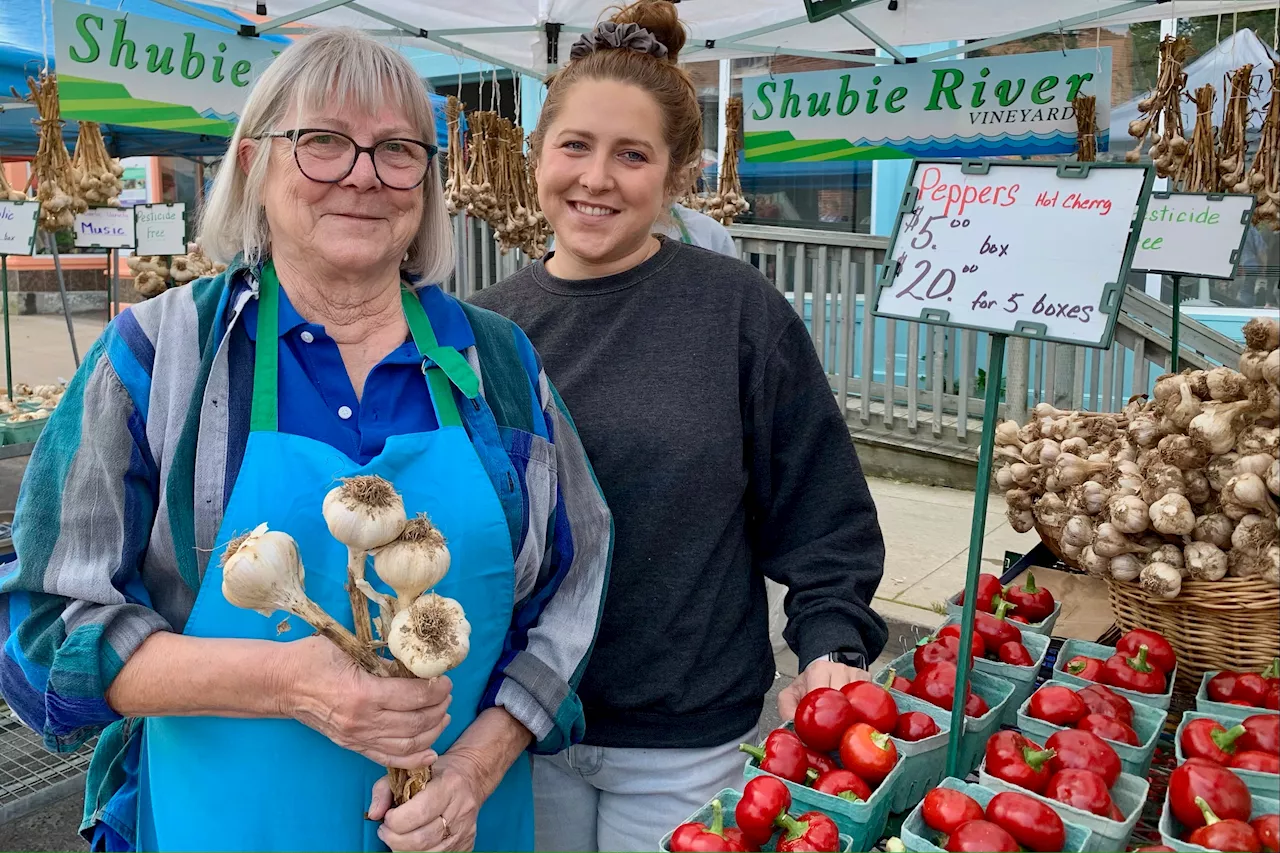 Garlic festival draws ‘phenomenal’ crowd to Windsor, N.S.