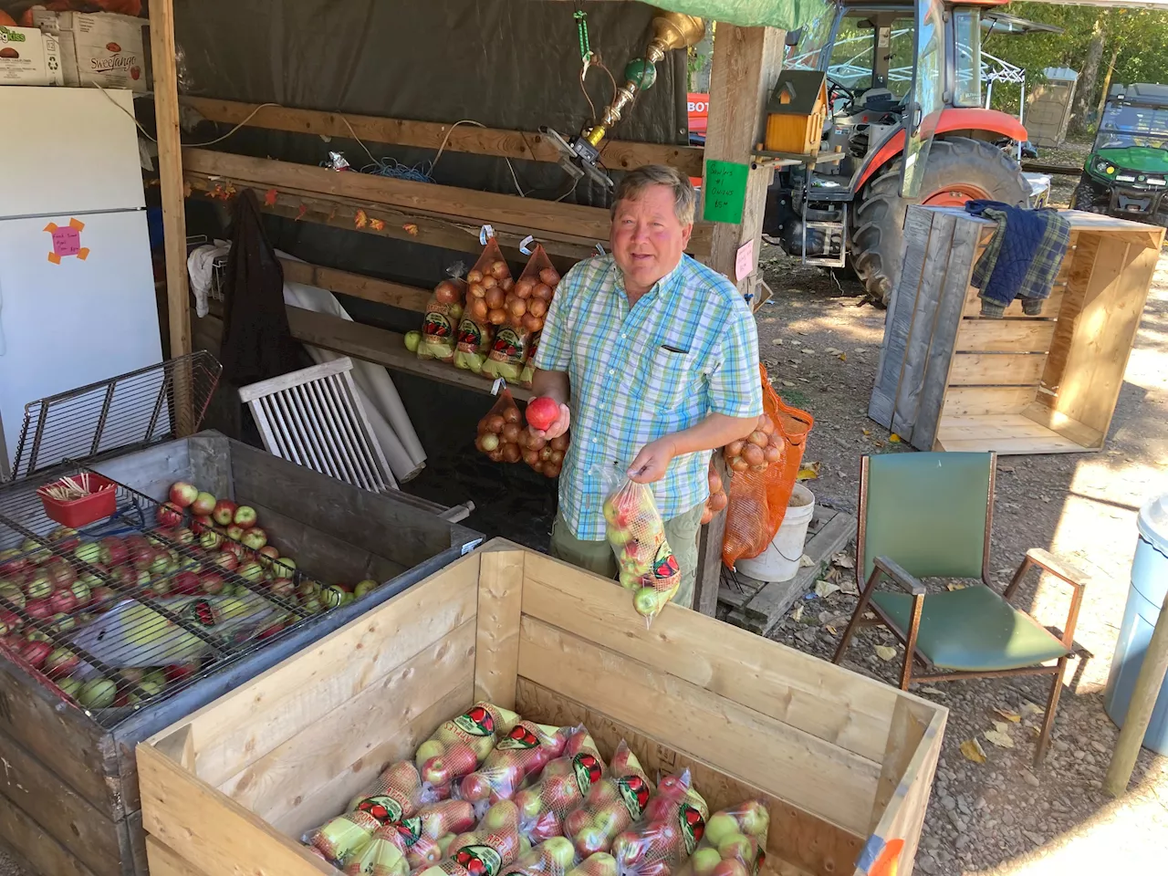 Nova Scotia apple growers concerned but optimistic as Philippe approaches