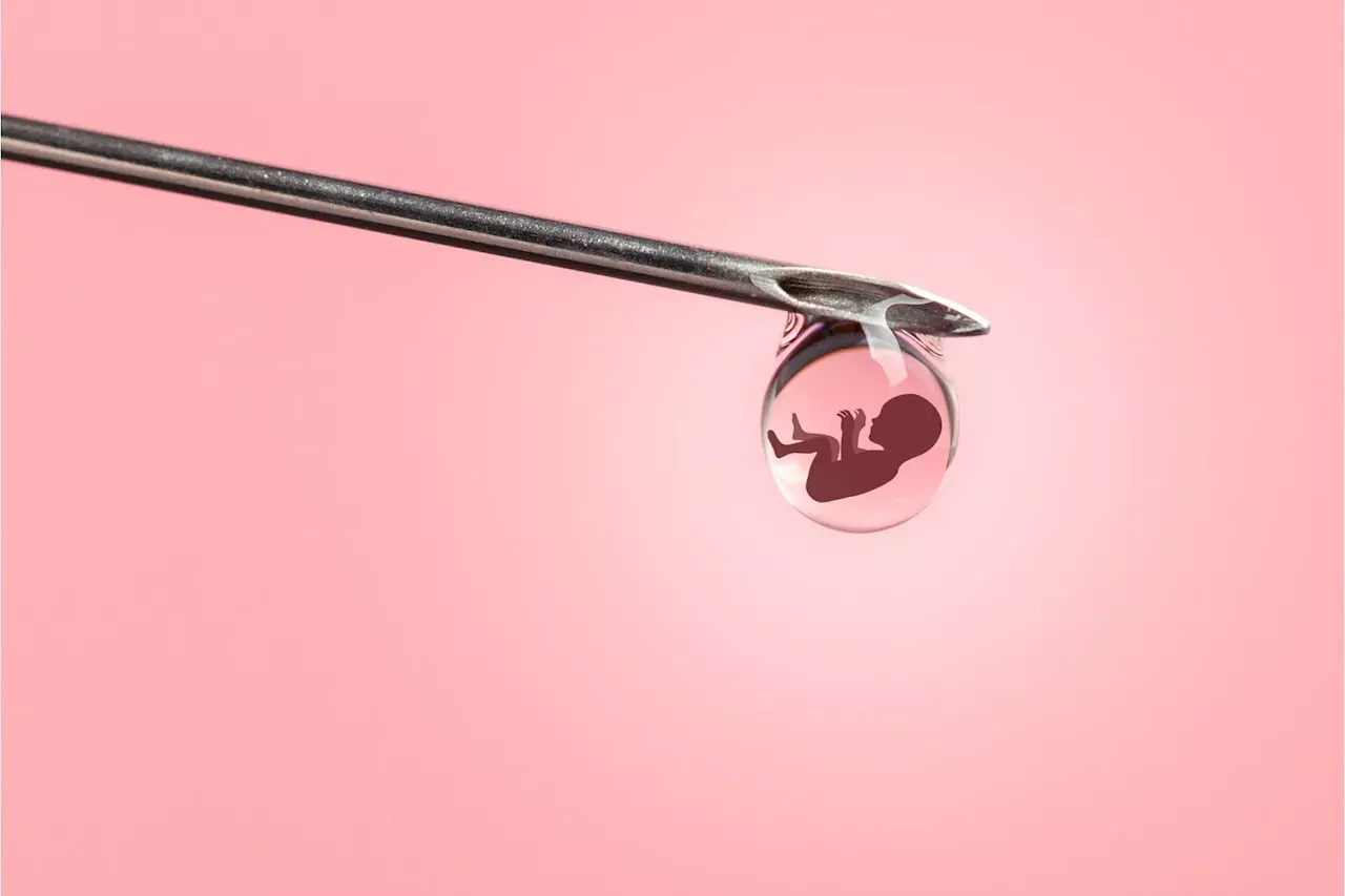 Unlocking the Mystery of IVF: Why Many Embryos Fail To Develop