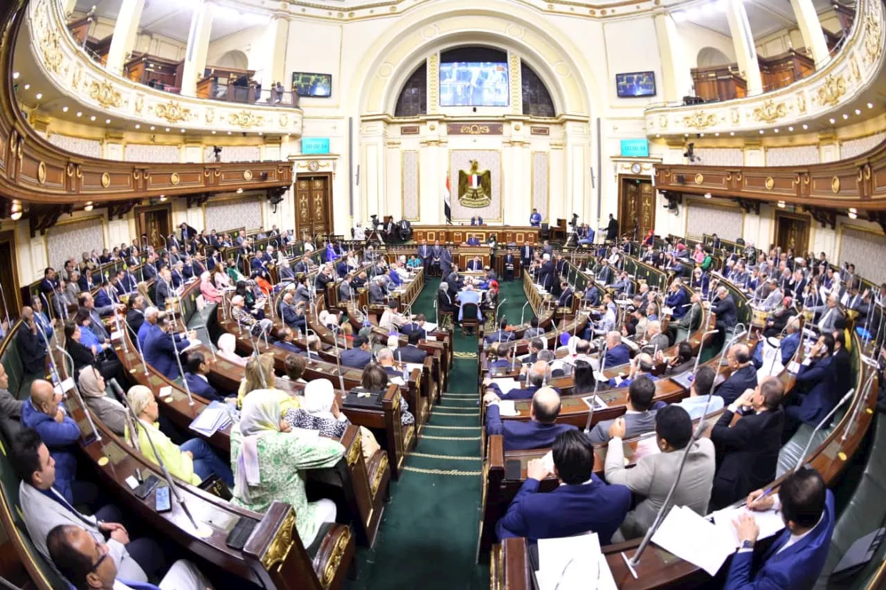 النواب يدين قرار البرلمان الأوروبي حول حقوق الإنسان بمصر: لا يتسم بالمصداقية وولد ميتا