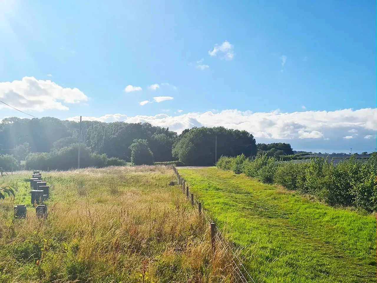 Council 'out of options' as High Court refuses appeal against controversial solar farm near Wrekin