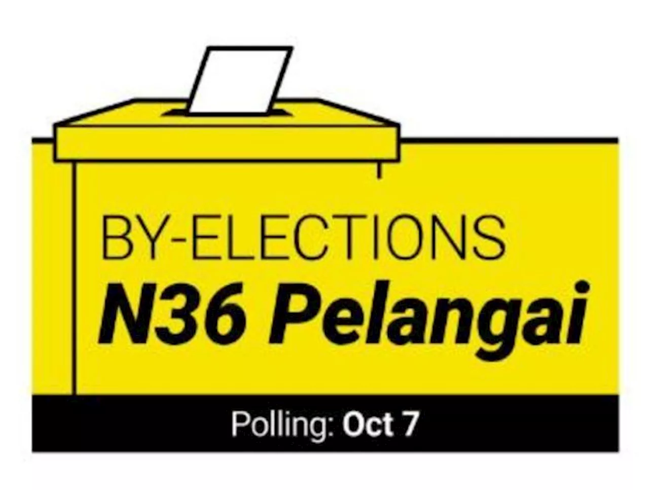 Pelangai polls: No complaints on misuse of government assets, says EC