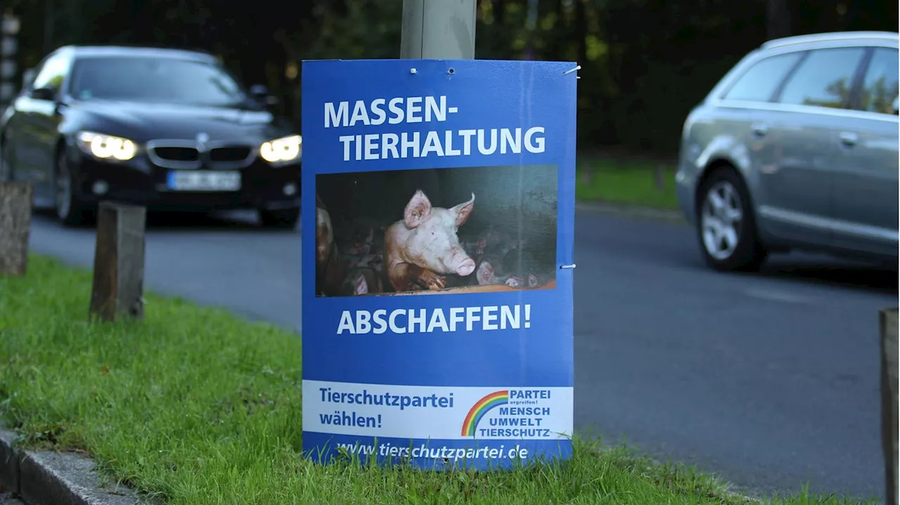 Bayern-Wahl: Tierschutzpartei scheitert mit Klage gegen ARD und ZDF