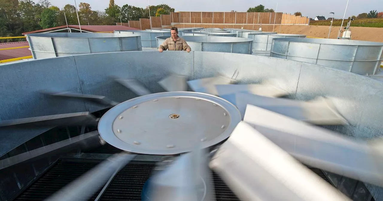 W\u00e4rmeplanung in St. Ingbert: Geothermie im Blick