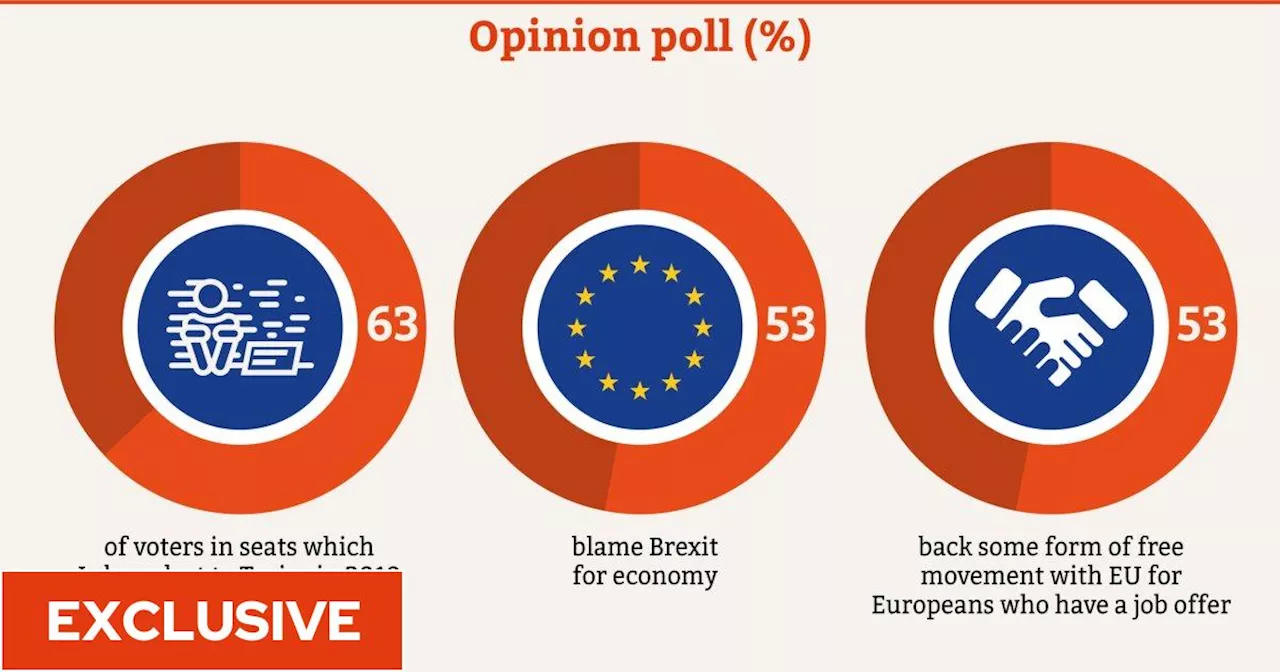 Keir Starmer faces Brexit revolt as poll suggests red wall voters want closer EU ties