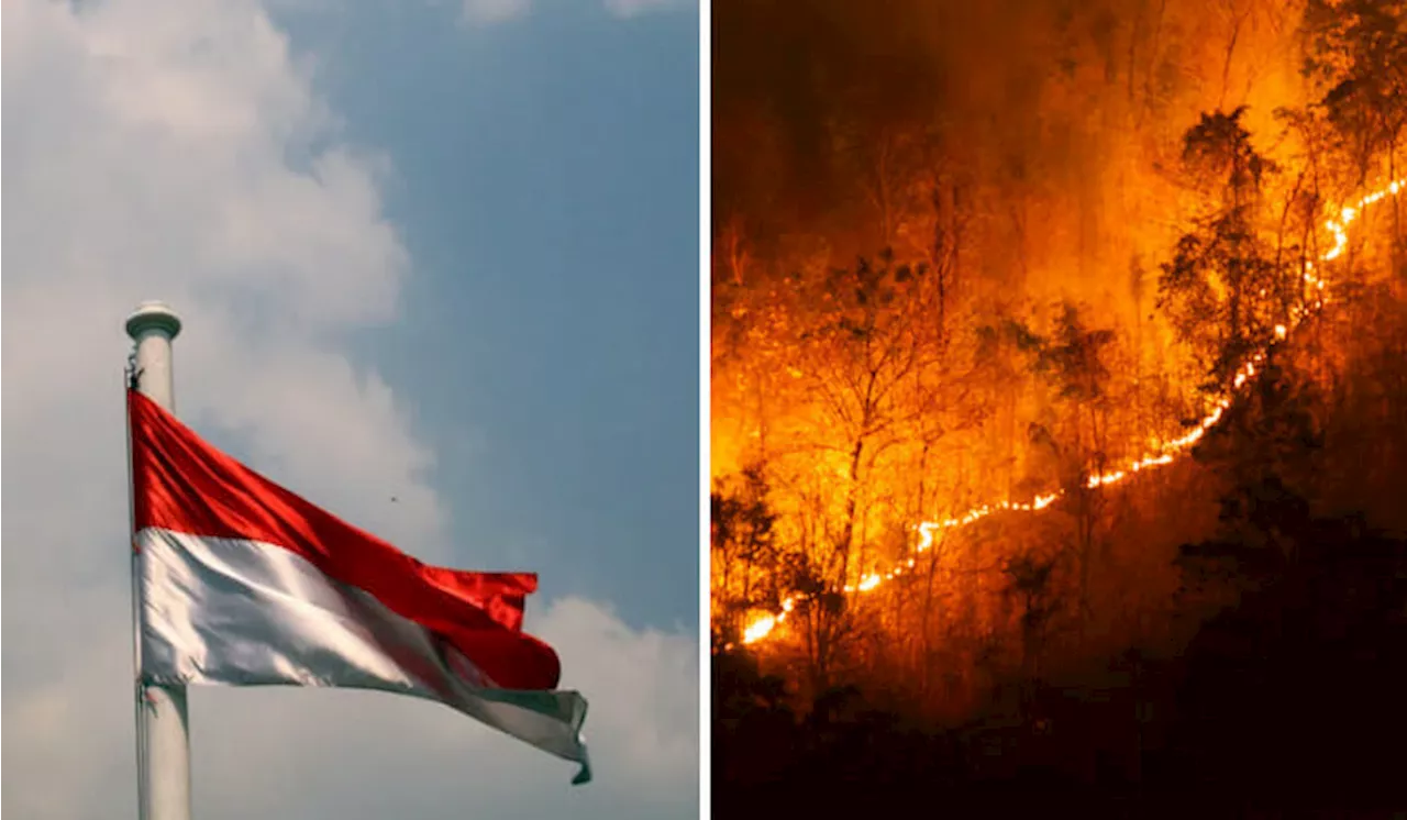 Indonesia Denies Responsibility for Malaysia’s Haze, Stirring Discontent Among Netizens