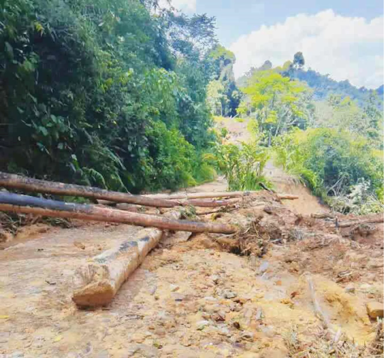 Tiada peruntukan baiki jalan balak di Pensiangan