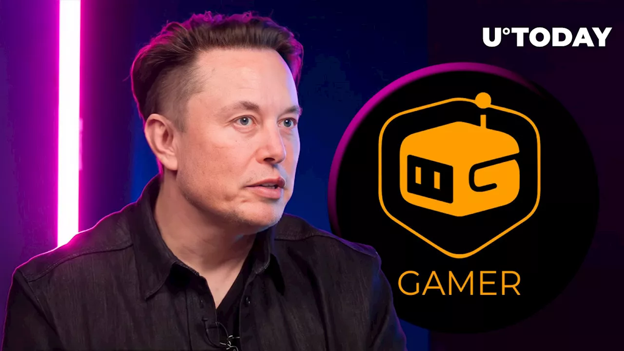 Elon Musk\u0027s Tweet Pushes This Gamer Coin Price Up