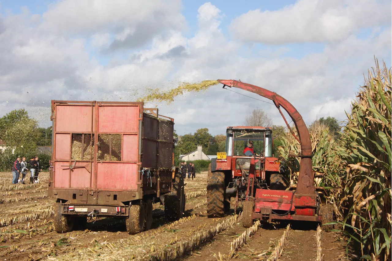 Cotentin. Ce dimanche, assistez à une corvée d'ensilage à l'ancienne avec de vieilles machines | La Presse de la Manche