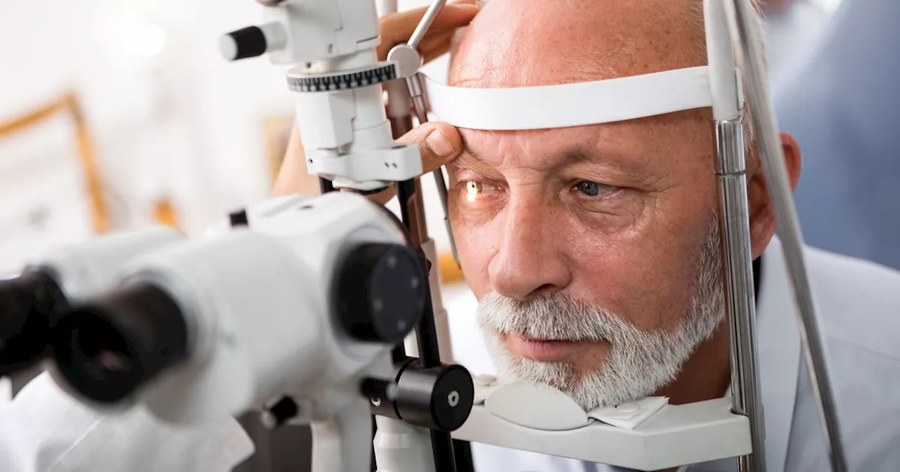 Eating one fruit a day found to improve eyesight in old age, new study says