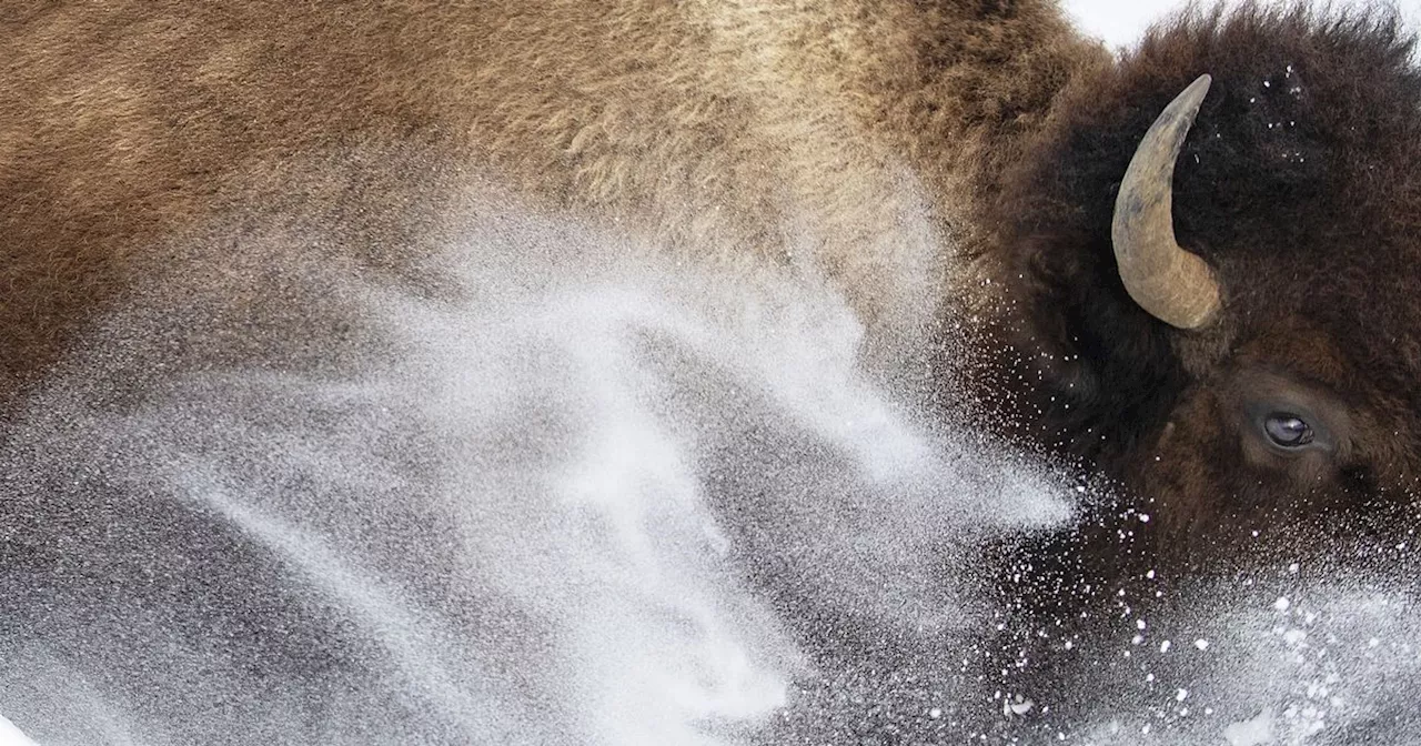 Incredible photos on display in Scotland capture the power of Mother Nature