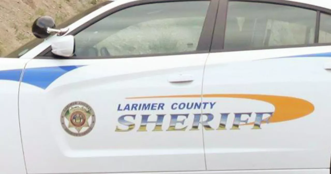 Woman faces charges in Larimer County crash the killed 10-year-old boy