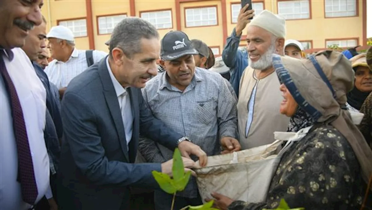 محافظ الغربية يشهد جني الذهب الأبيض في المحلة الكبرى (صور)