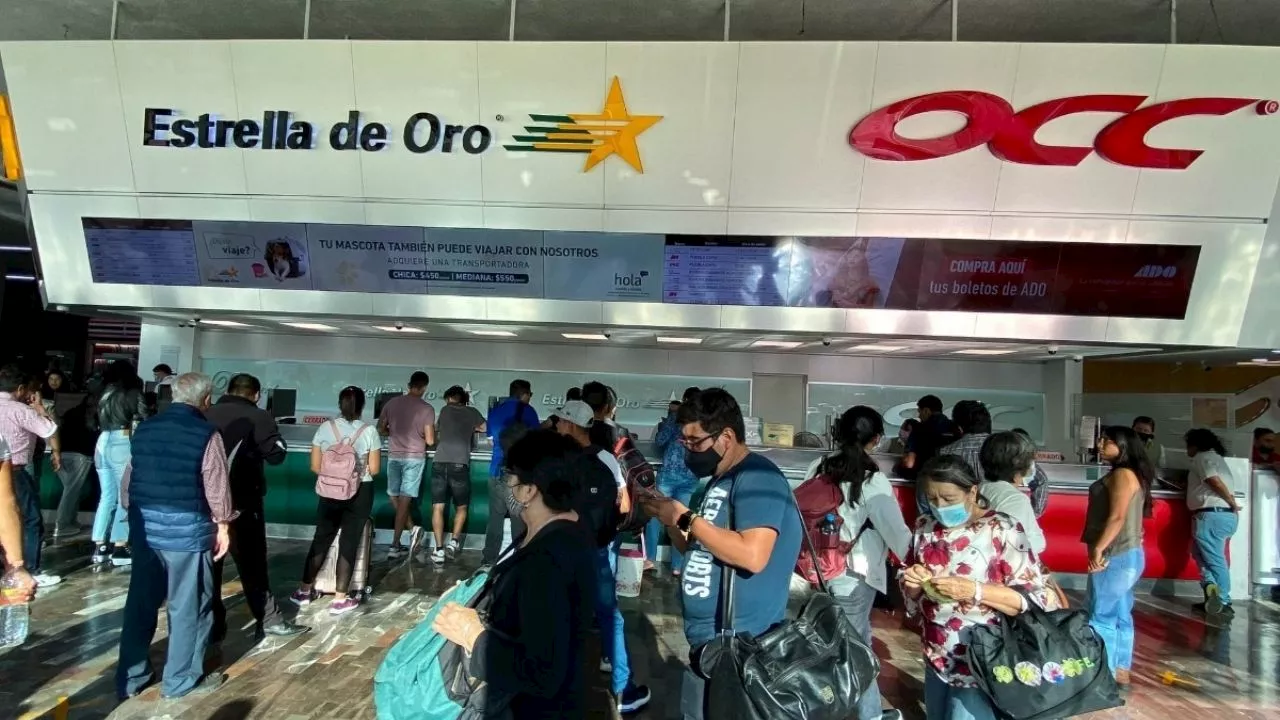 Estudiantes en México podrán disfrutar de DESCUENTOS de hasta 50% para viajar durante todo el año