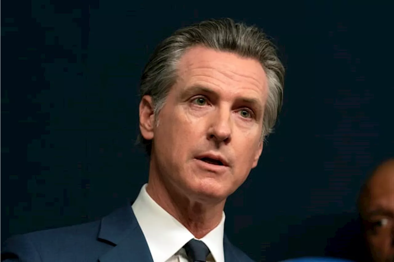 California Gov. Gavin Newsom signs law requiring big businesses to disclose emissions