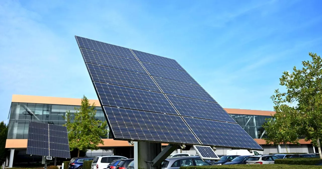 Fronius-Chefin: Solar-Industrie von der Politik aufgegeben