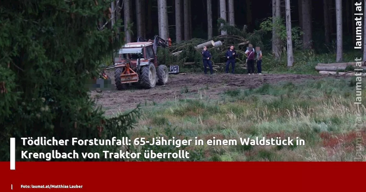 Tödlicher Forstunfall: 65-Jähriger in einem Waldstück in Krenglbach von Traktor überrollt | laumat|at