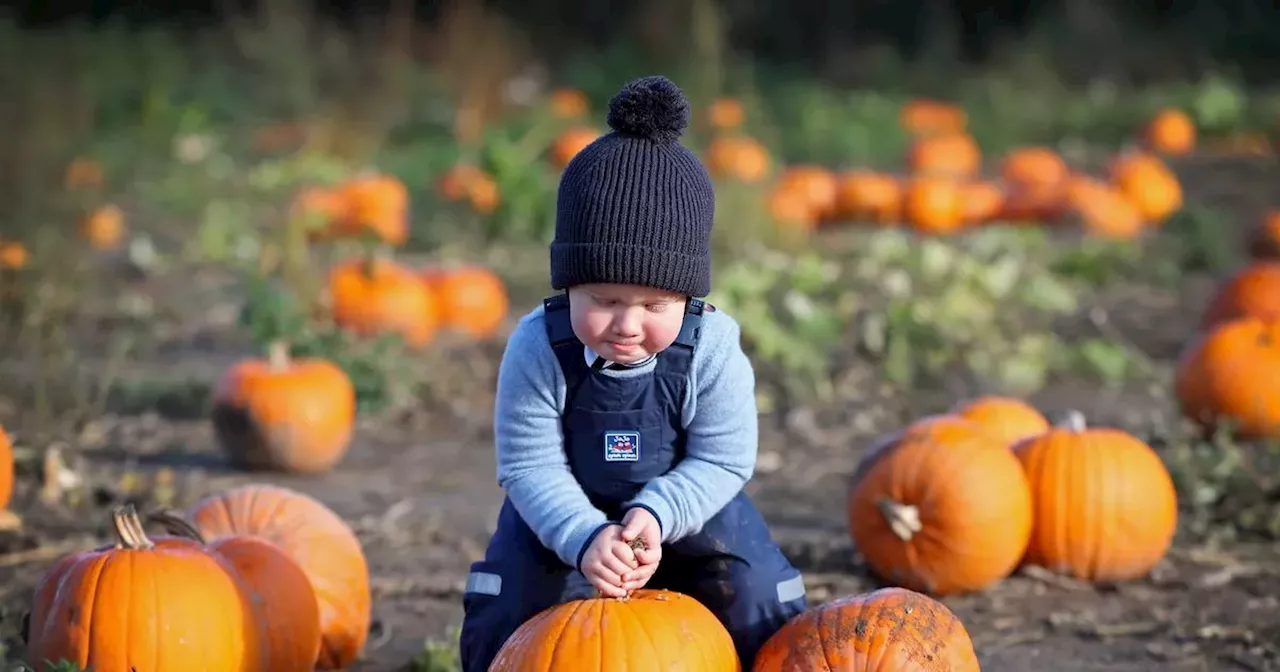 6 Halloween events in Leeds you need to book now to avoid disappointment