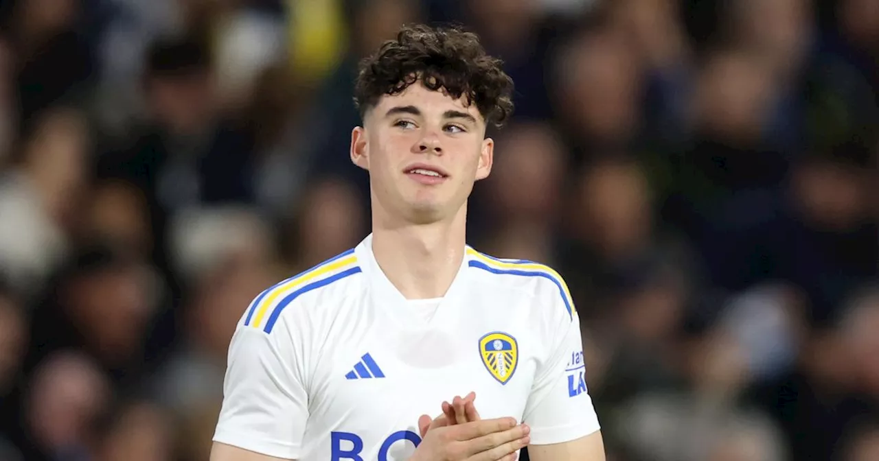 Leeds United fans react as Archie Gray and ‘mustard’ Daniel Farke hailed