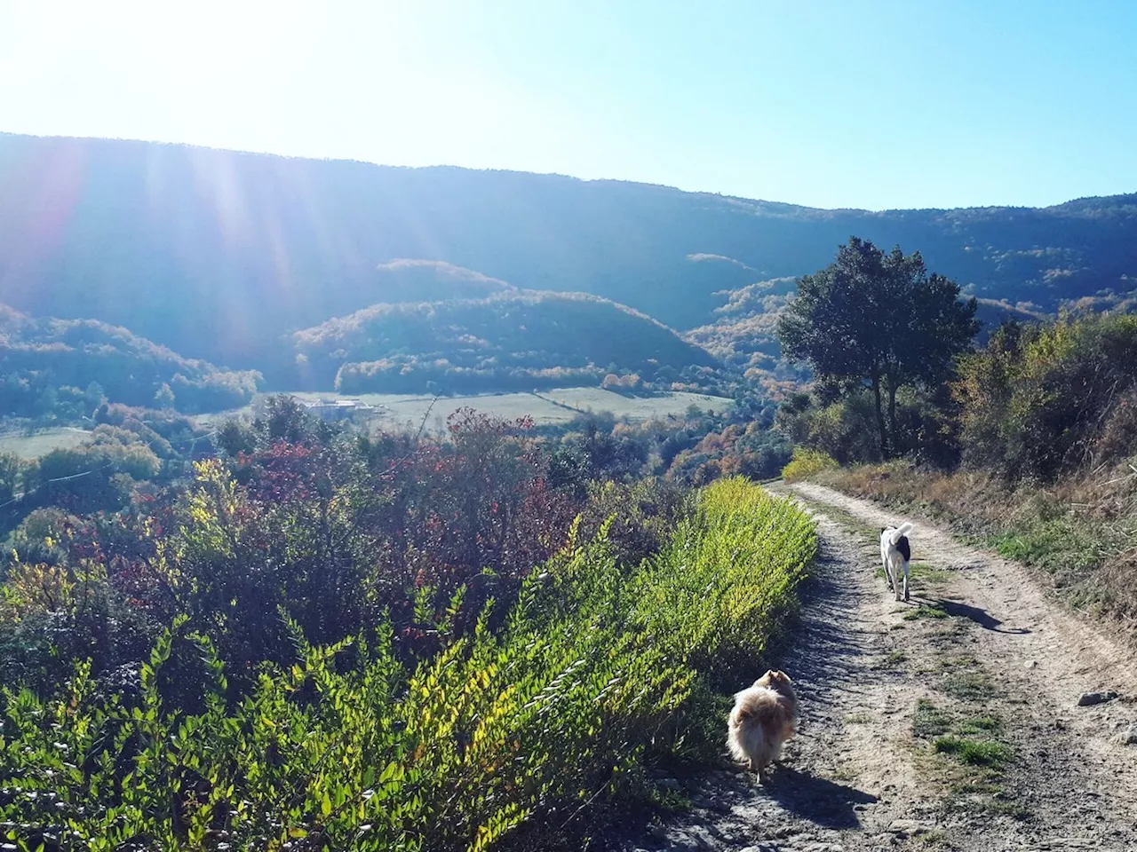 Occitanie. Cette randonnée vous fera découvrir les œuvres d'un poète français méconnu | Actu Occitanie