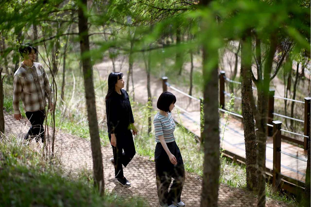 산림청 선정 명품 숲 두 곳이나…강원도 웰니스 강자로 떠오른 이곳 - 매일경제