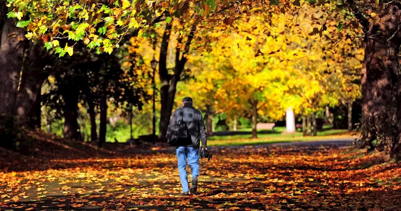 Greater Manchester weekend weather forecast as temperatures could soar over 20C