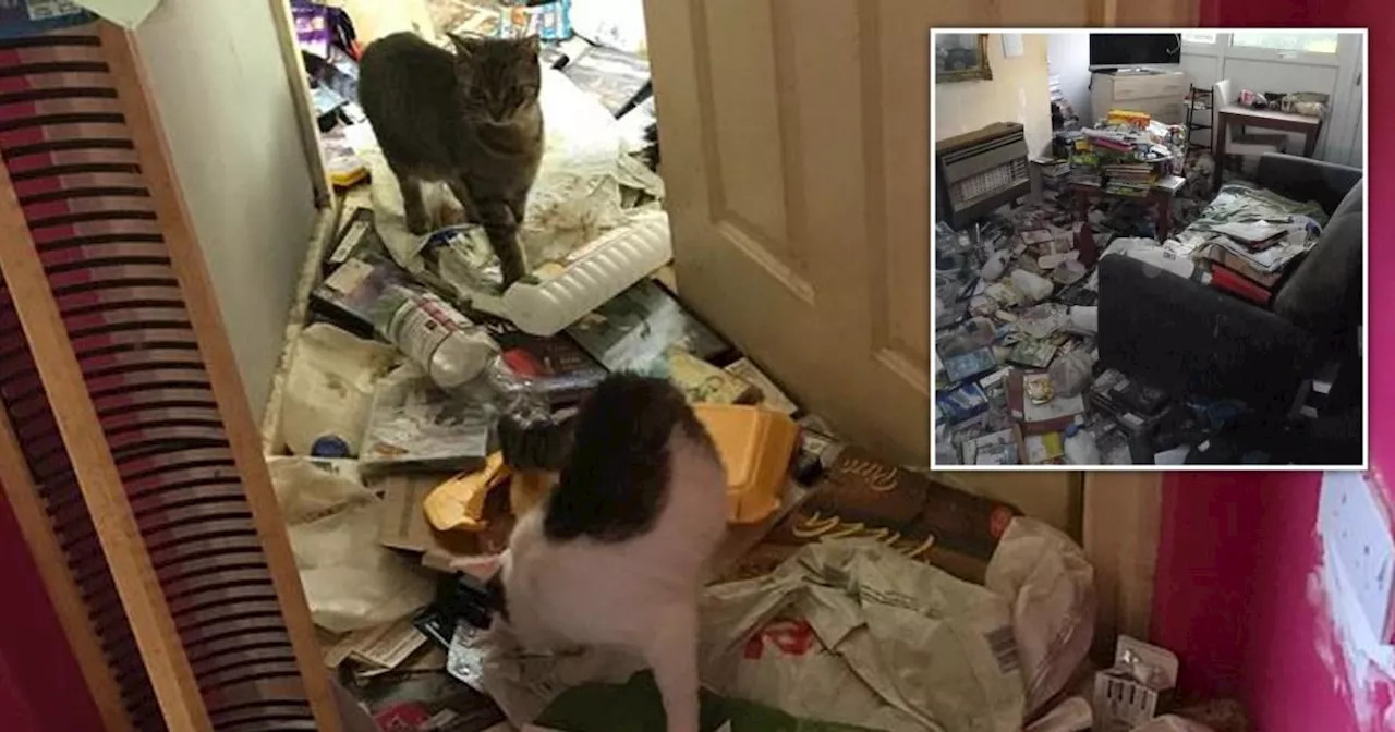 Woman banned from keeping pets after cats rescued from 'disgusting environment'