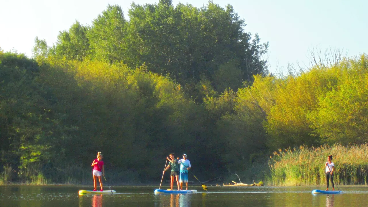 Die letzten Züge des Sommers im Klosterneuburger Strandbad