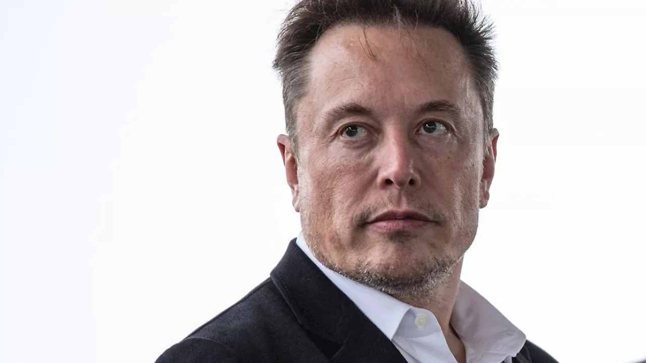 Wieduwilts Woche: Kann man mit 'Bluesky' Elon Musk fertig machen?